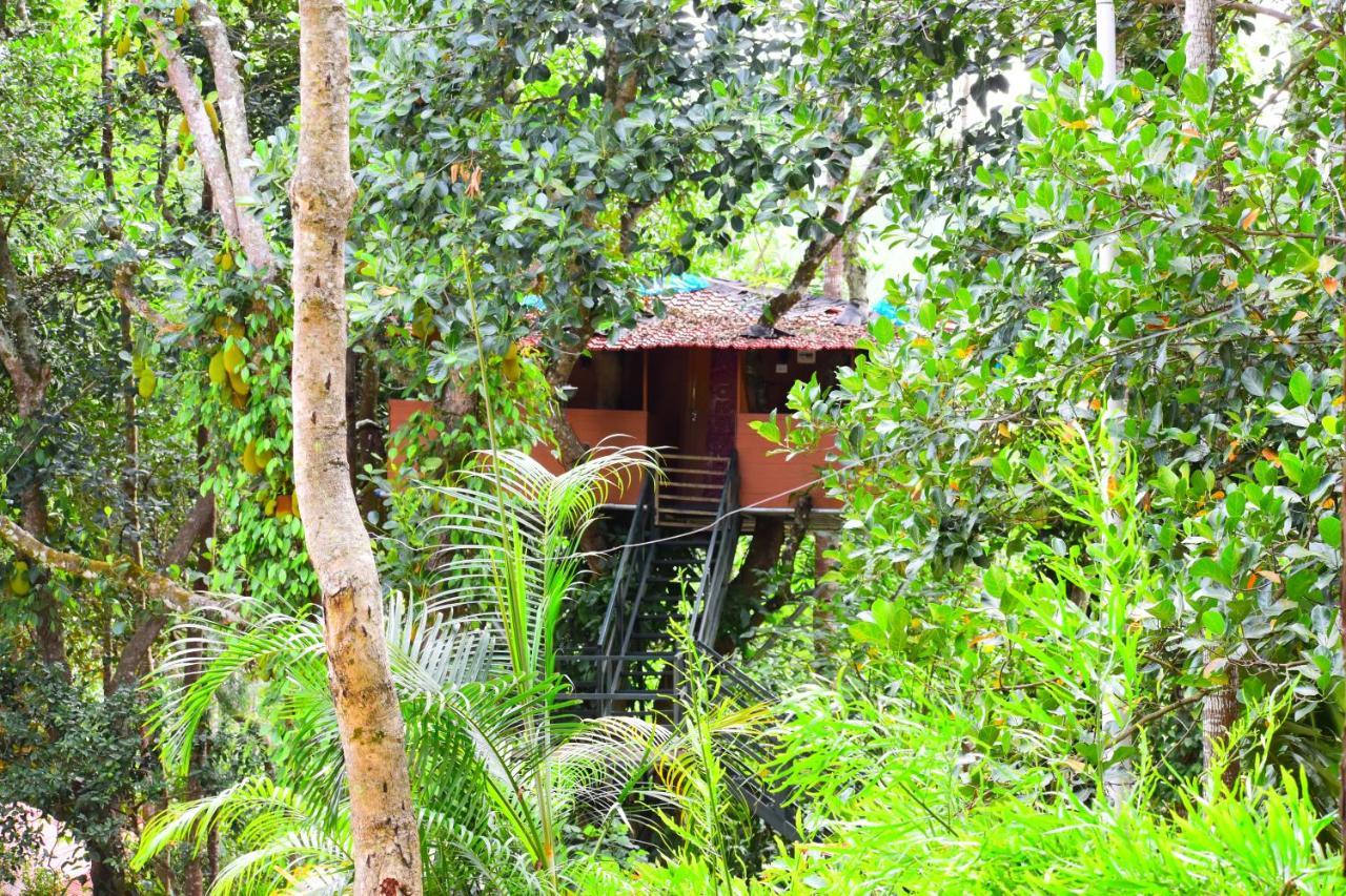 The Brook Resorts & Spa Yercaud Exterior photo